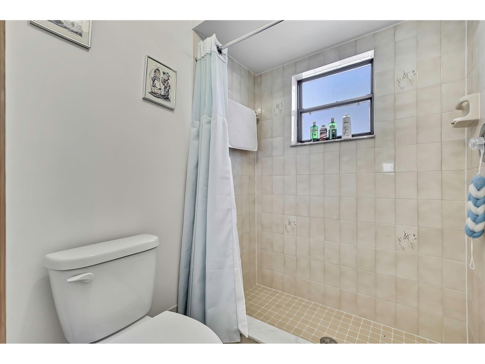 2292 Estill Avenue Spring Hill FL 34609 TB8477654 image16