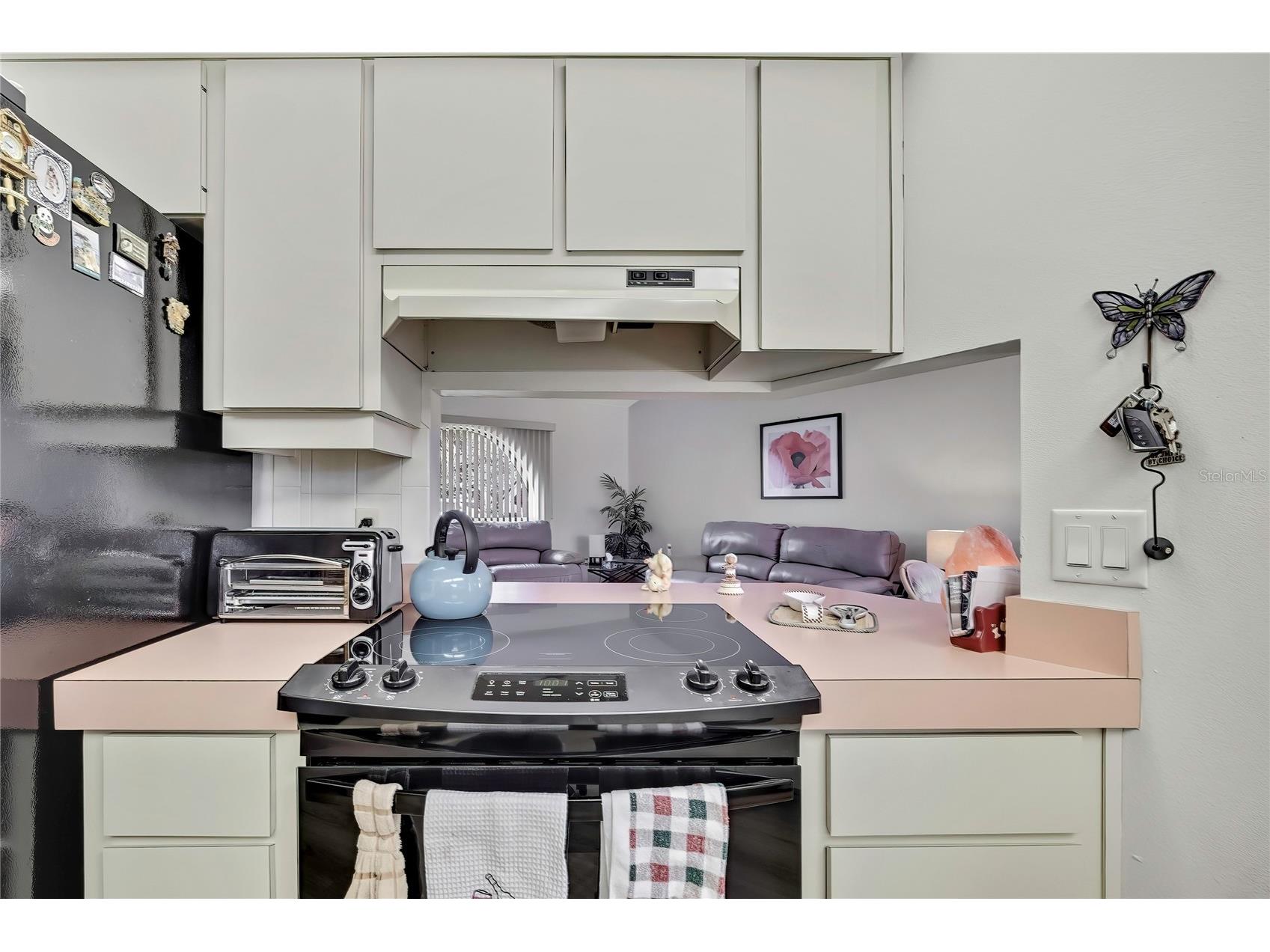 2292 Estill Avenue Spring Hill FL 34609 TB8477654 image9