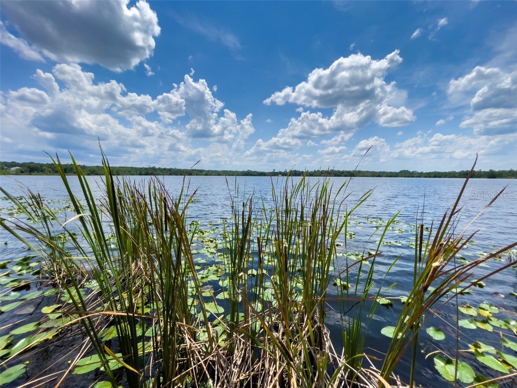 2292 SE 170th Avenue Road Silver Springs FL 34488 - North Lake TB8392018 image12