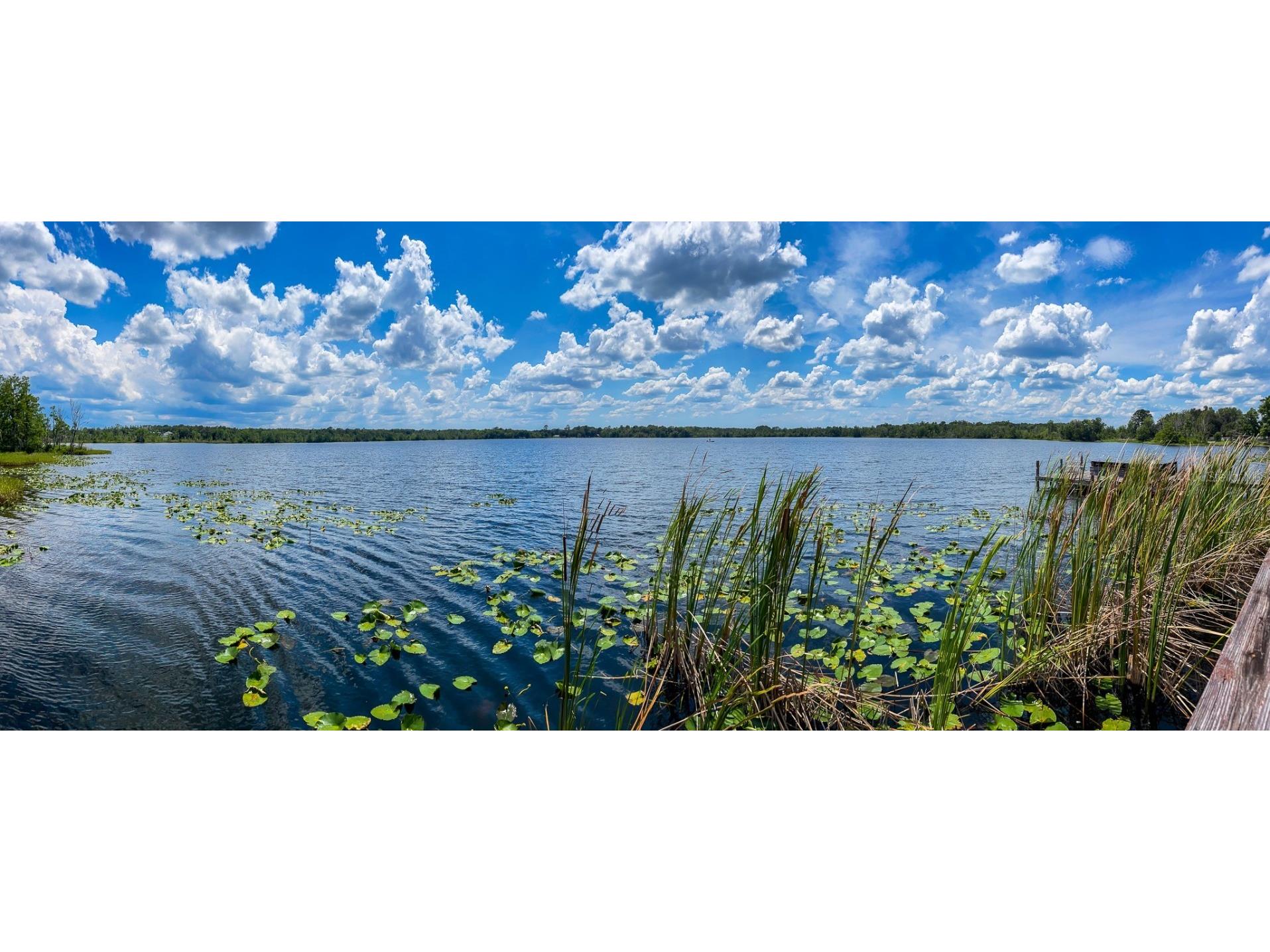 2292 SE 170th Avenue Road Silver Springs FL 34488 - North Lake TB8392018 image13