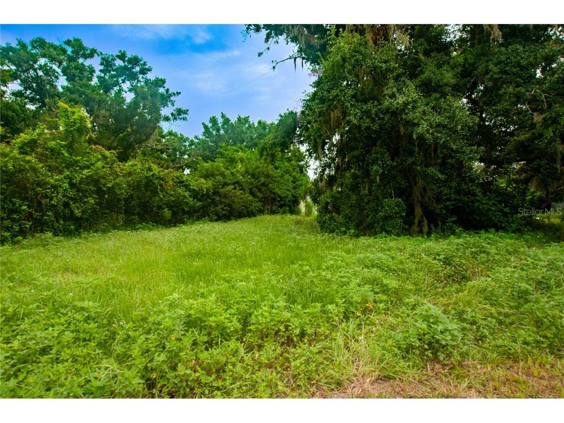 2292 SE Shady Circle Arcadia FL 34266 C7495112 image1