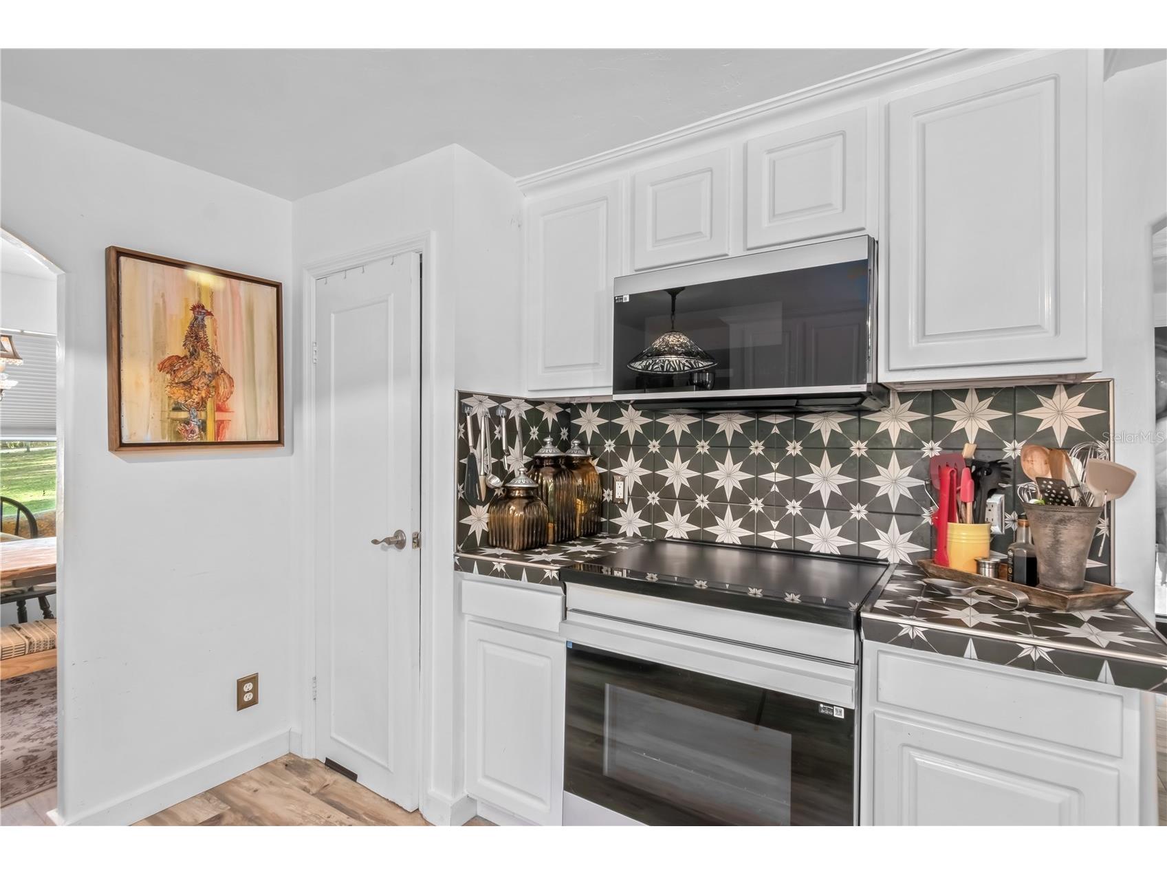 22924 NW 91st Court Road Micanopy FL 32667 OM713737 image19