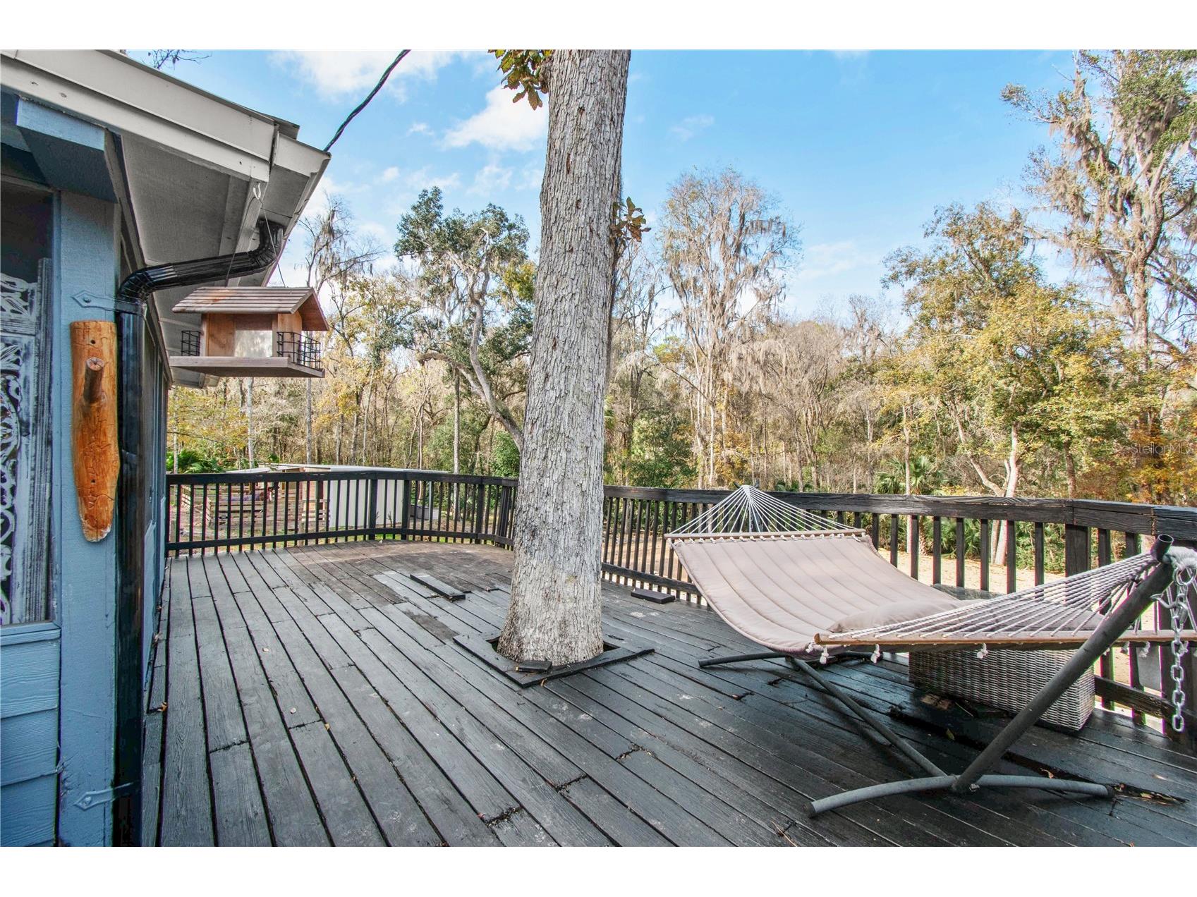 22924 NW 91st Court Road Micanopy FL 32667 OM713737 image38