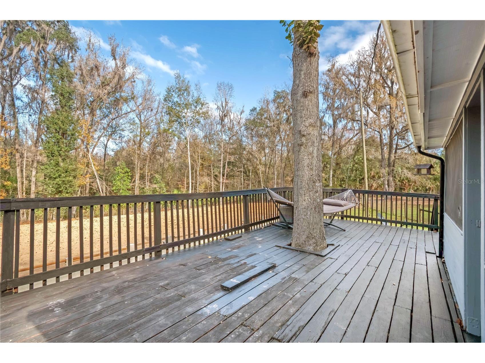 22924 NW 91st Court Road Micanopy FL 32667 OM713737 image40