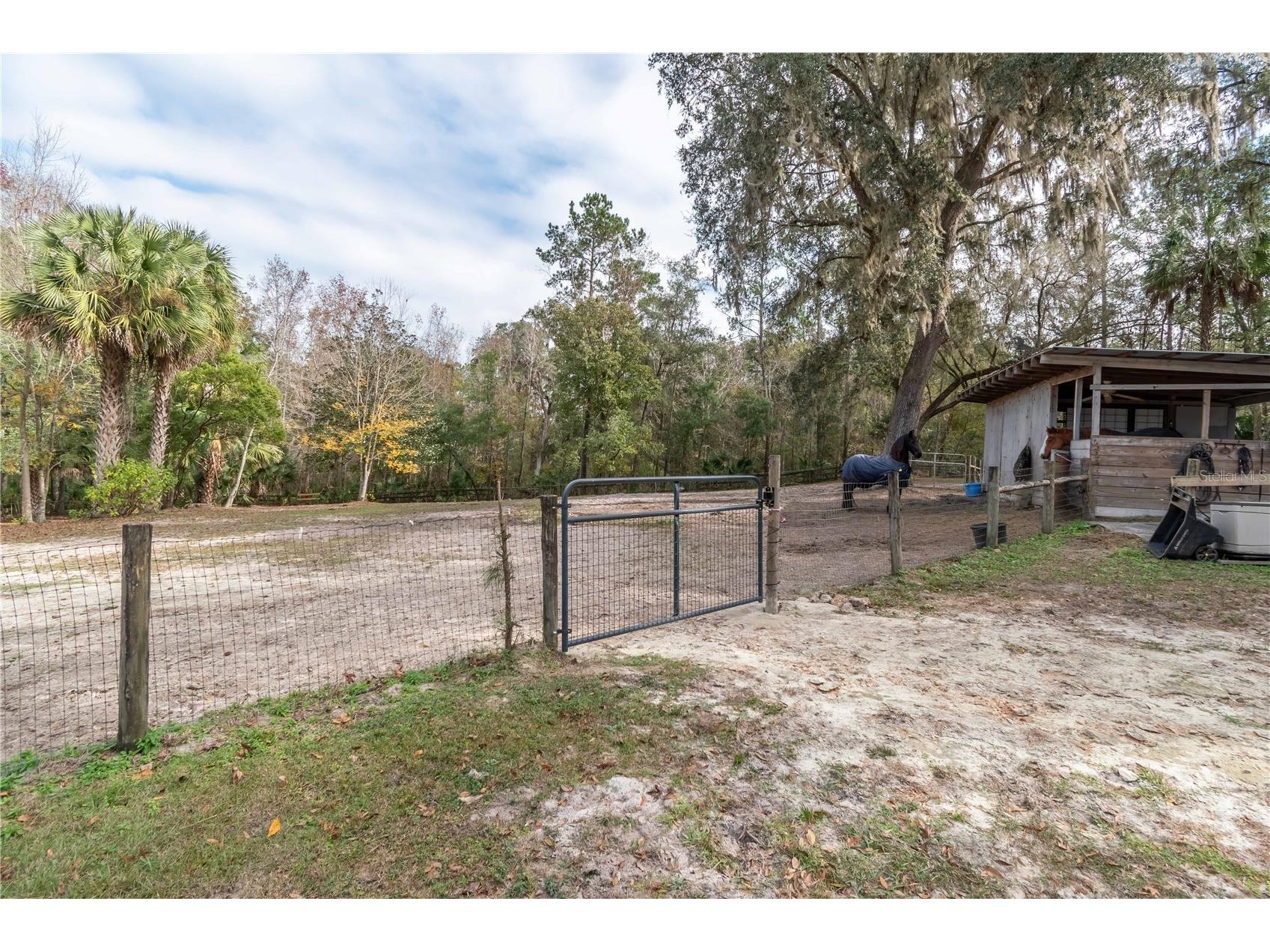 22924 NW 91st Court Road Micanopy FL 32667 OM713737 image50