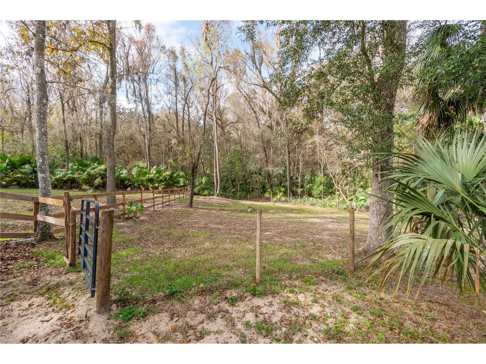 22924 NW 91st Court Road Micanopy FL 32667 OM713737 image51