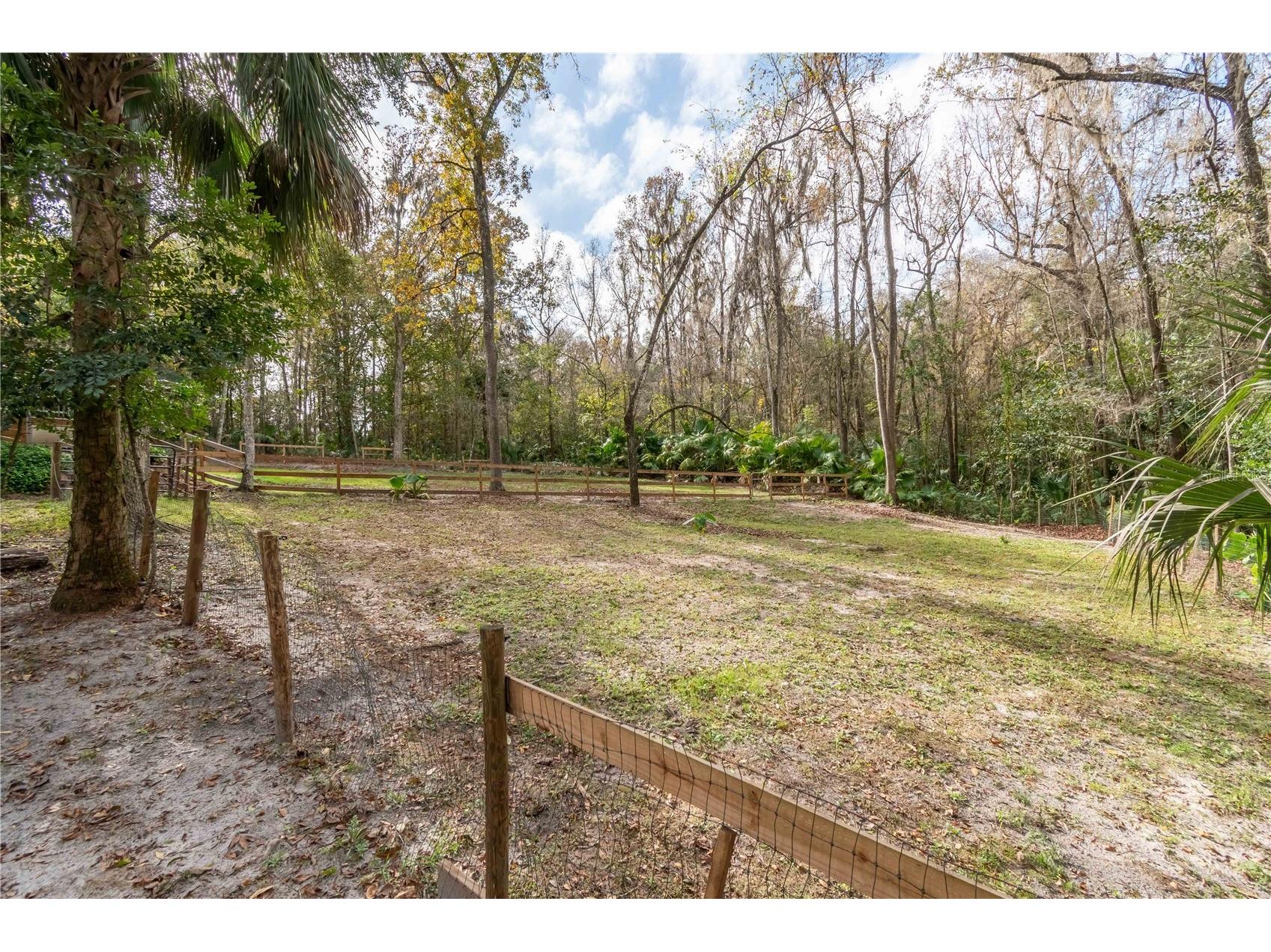 22924 NW 91st Court Road Micanopy FL 32667 OM713737 image52