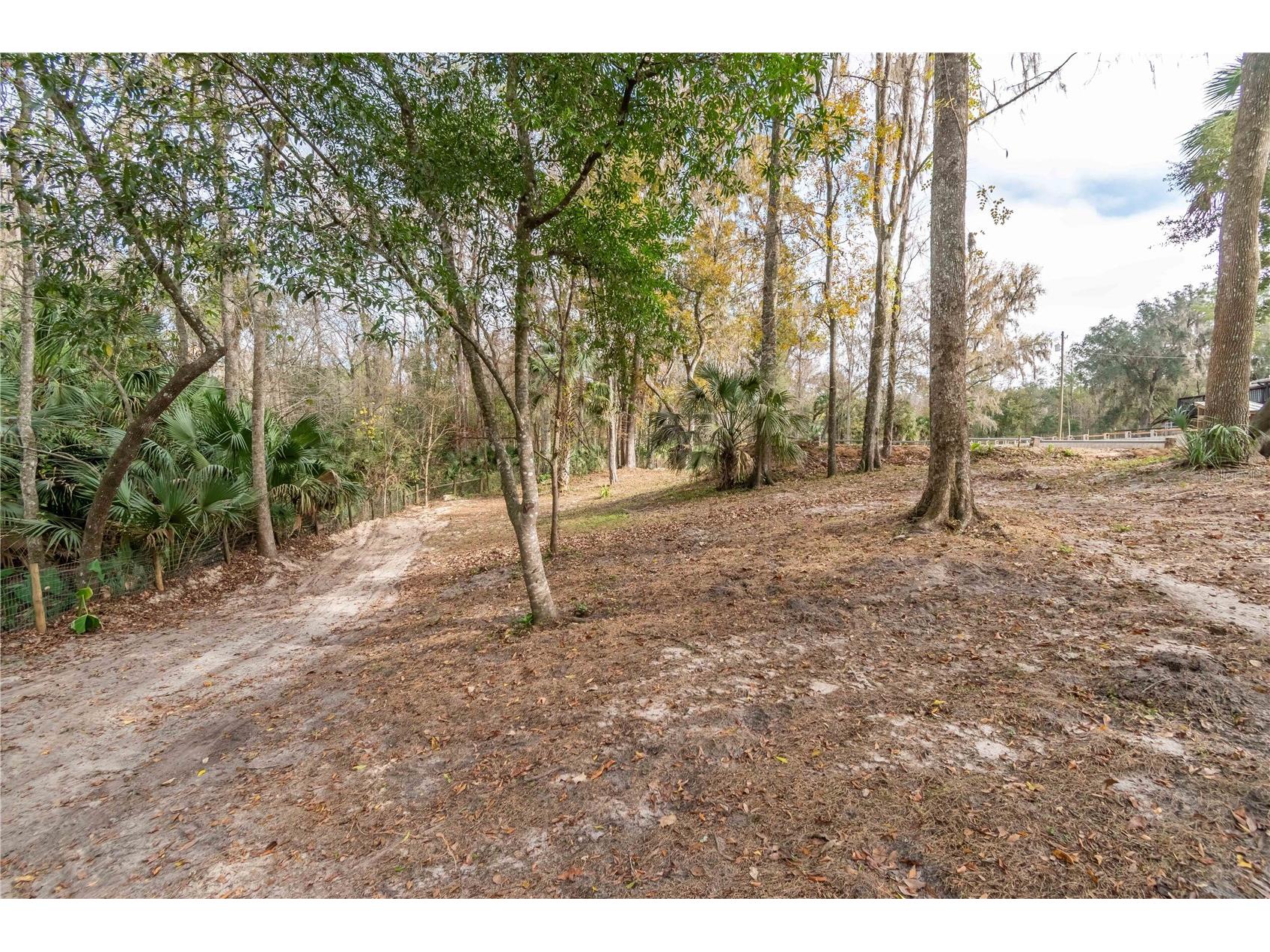 22924 NW 91st Court Road Micanopy FL 32667 OM713737 image53