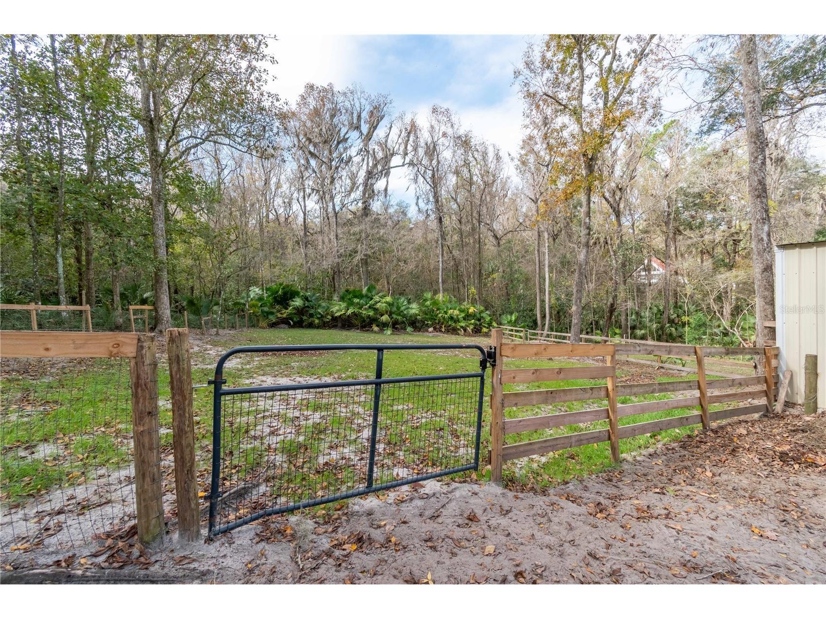 22924 NW 91st Court Road Micanopy FL 32667 OM713737 image56