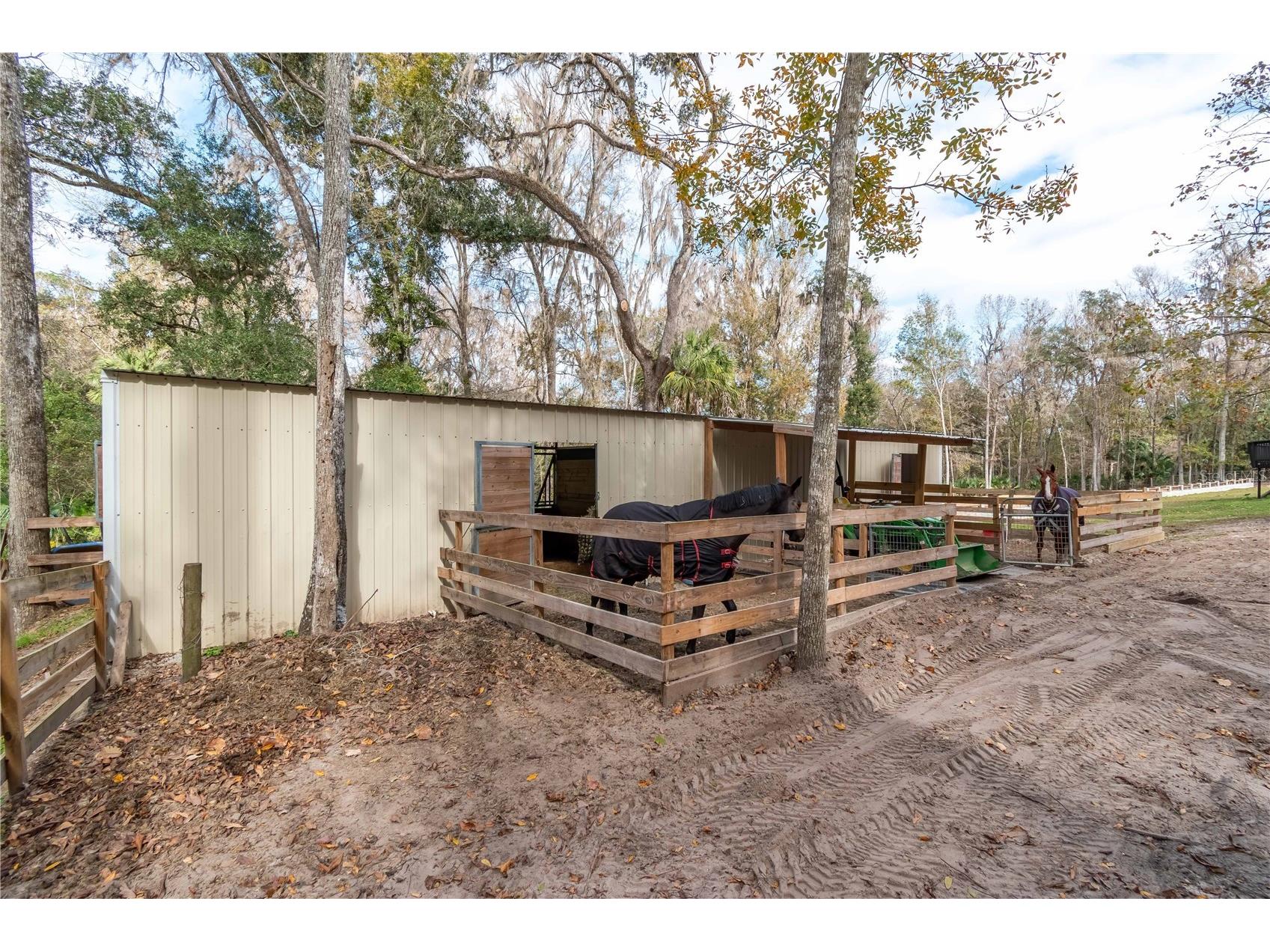22924 NW 91st Court Road Micanopy FL 32667 OM713737 image57