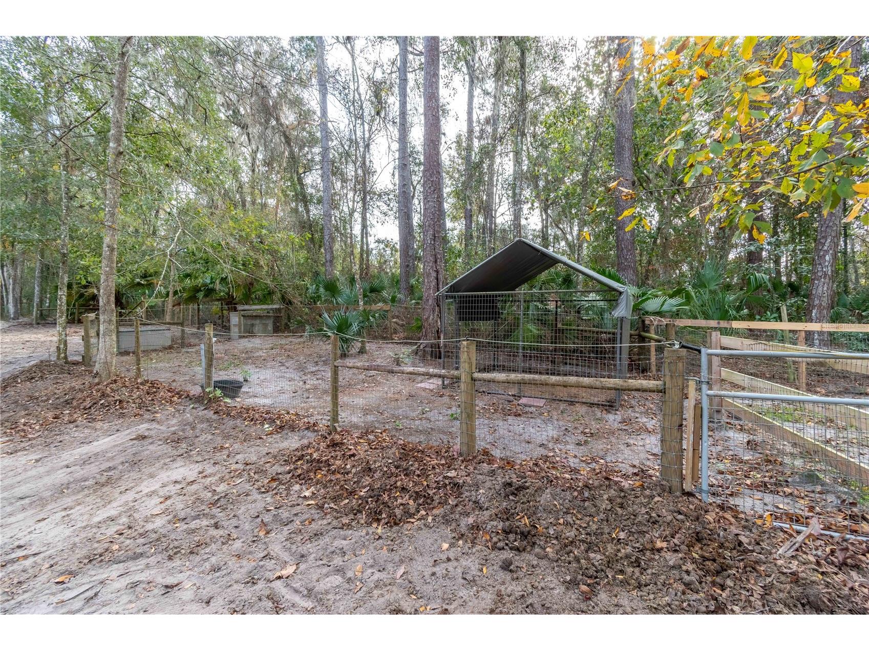 22924 NW 91st Court Road Micanopy FL 32667 OM713737 image58