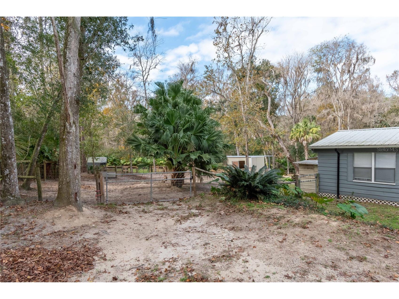 22924 NW 91st Court Road Micanopy FL 32667 OM713737 image6