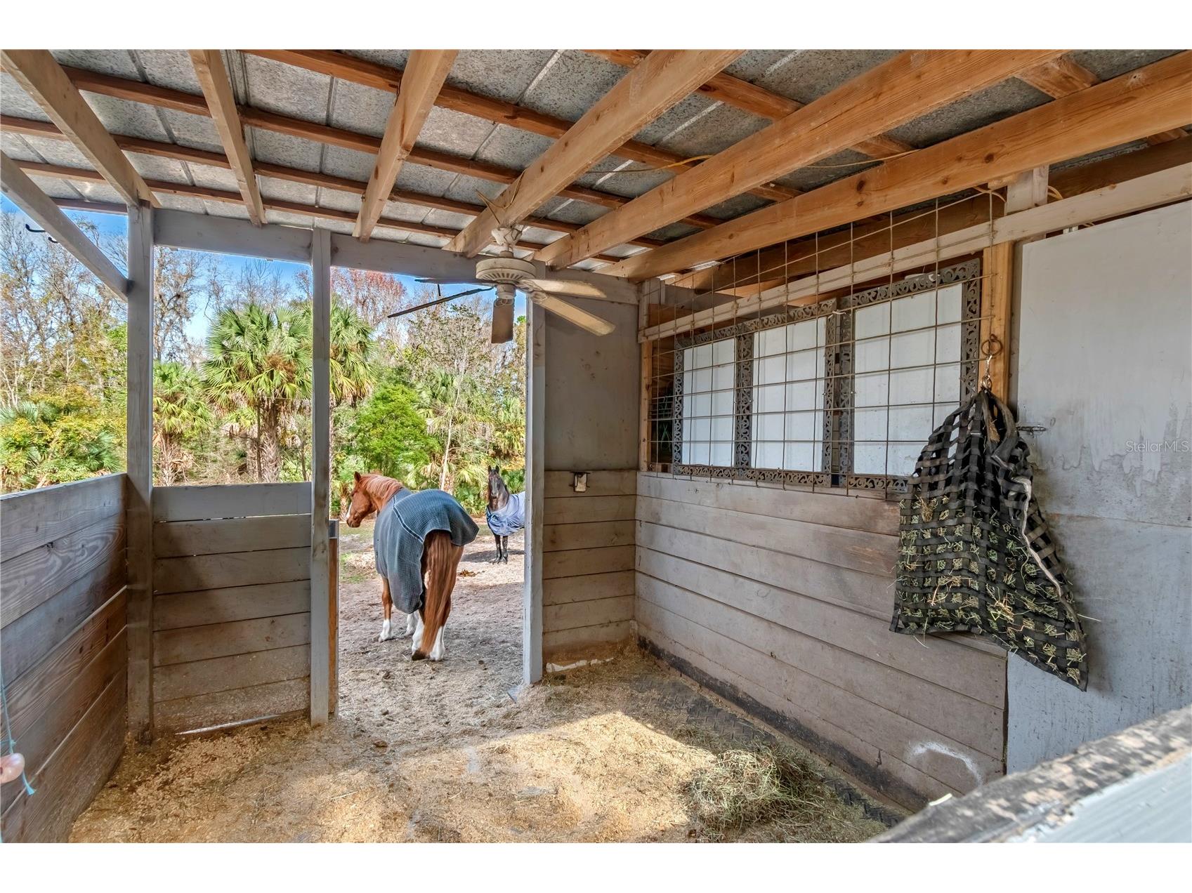 22924 NW 91st Court Road Micanopy FL 32667 OM713737 image63