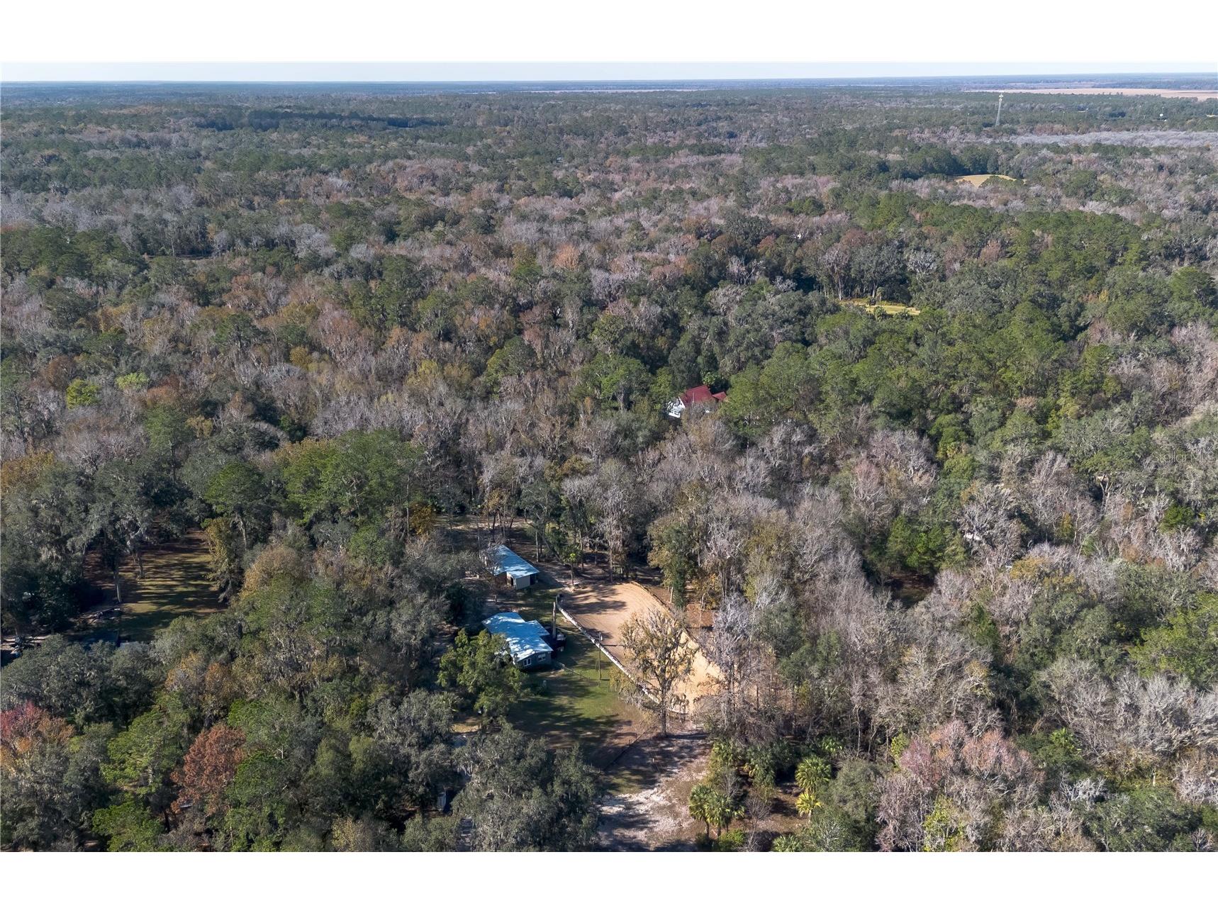 22924 NW 91st Court Road Micanopy FL 32667 OM713737 image76