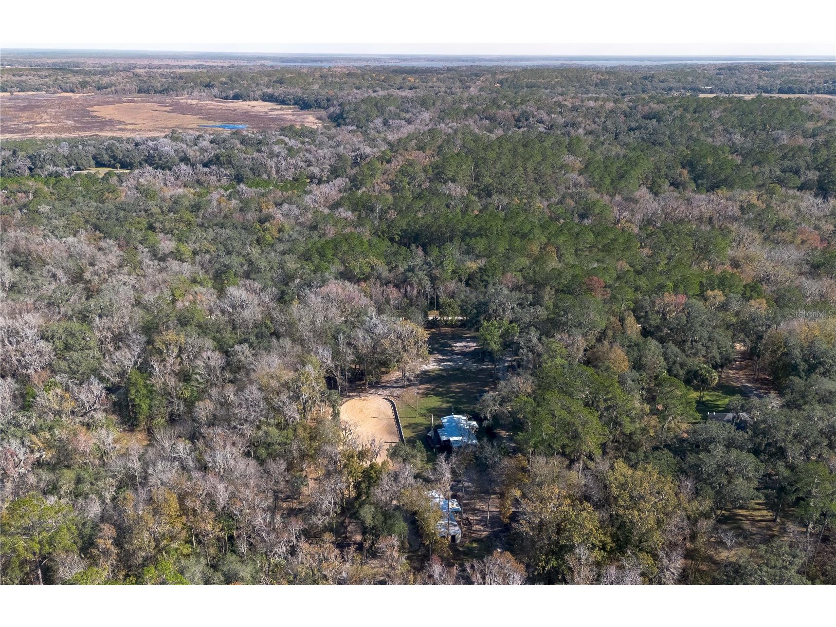 22924 NW 91st Court Road Micanopy FL 32667 OM713737 image81