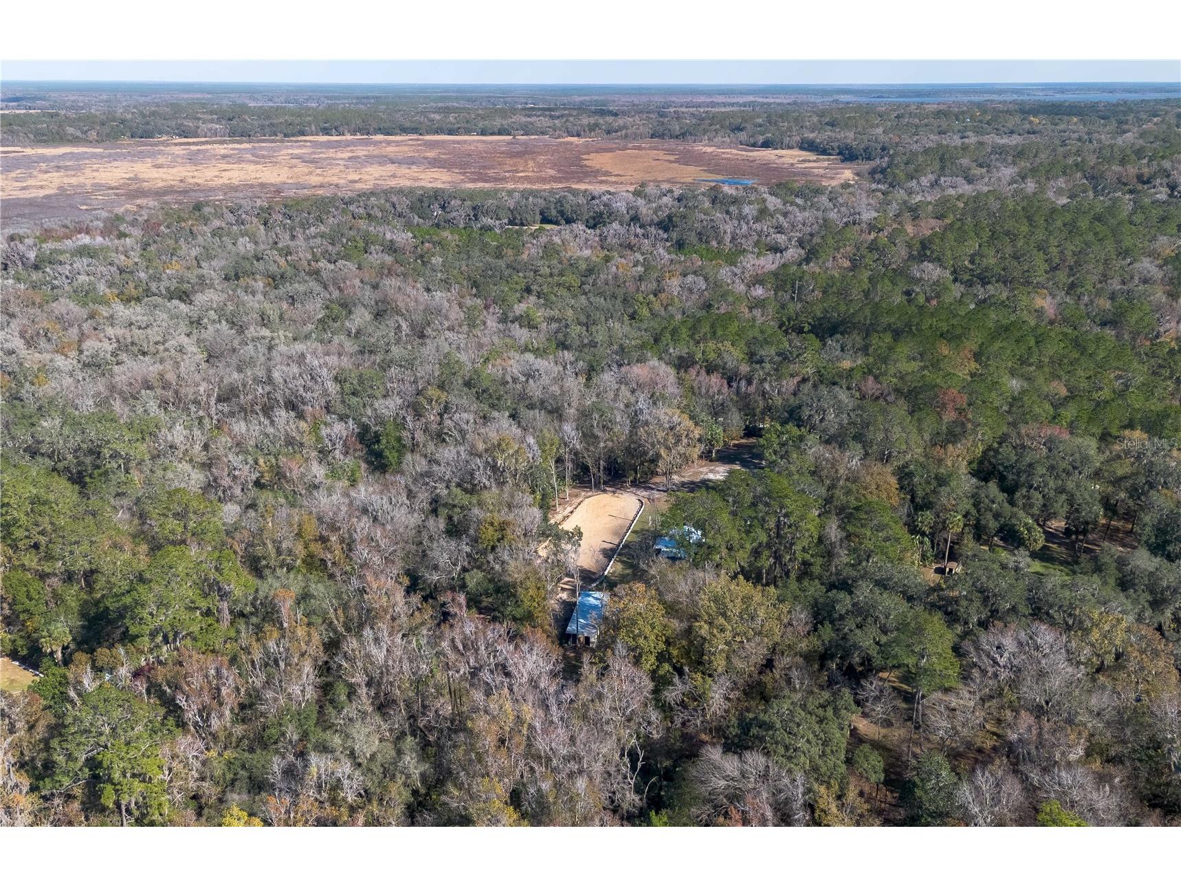 22924 NW 91st Court Road Micanopy FL 32667 OM713737 image83