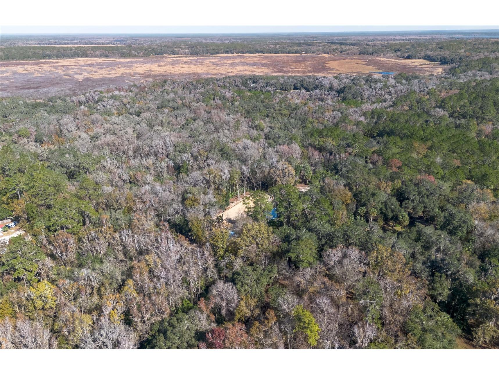 22924 NW 91st Court Road Micanopy FL 32667 OM713737 image84