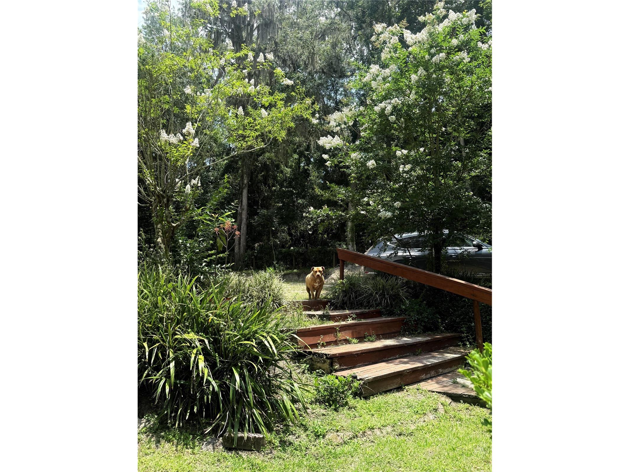 22924 NW 91st Court Road Micanopy FL 32667 OM713737 image92