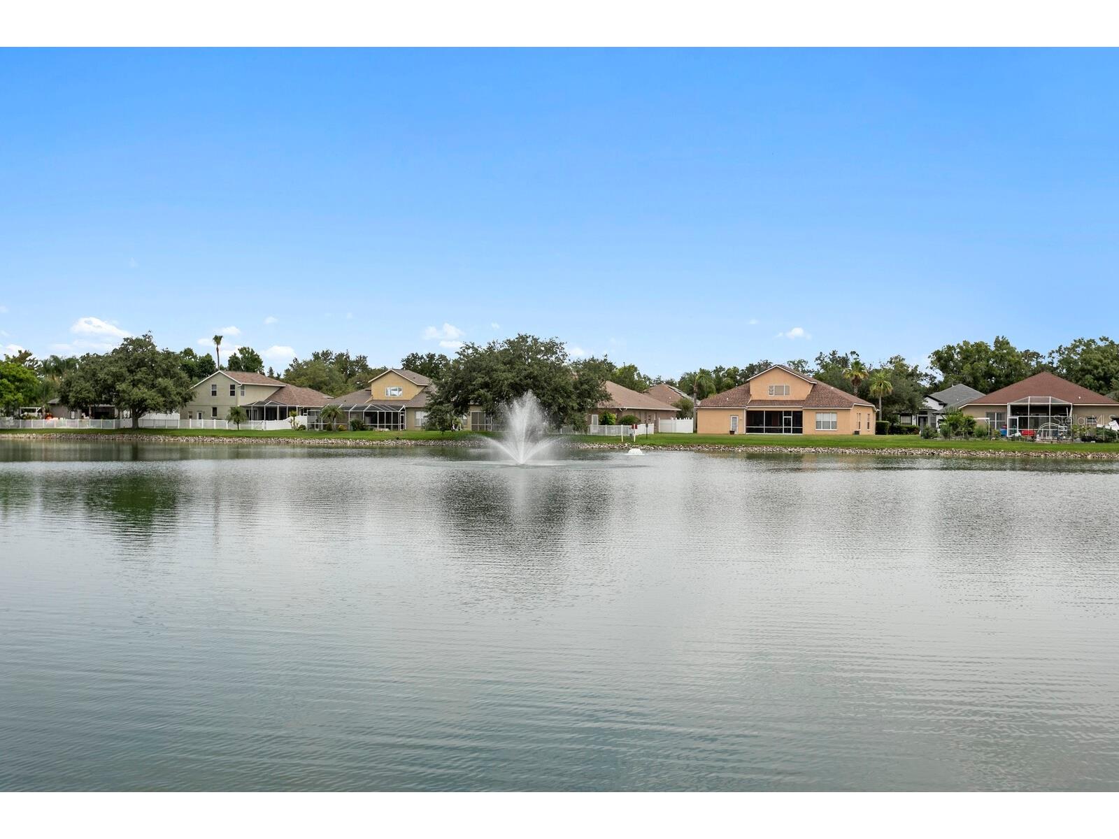 22927 Bay Cedar Drive Land O Lakes FL 34639 TB8529439 image33