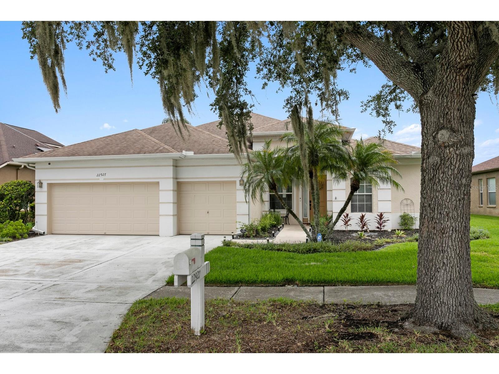 22927 Bay Cedar Drive Land O Lakes FL 34639 TB8529439 image4
