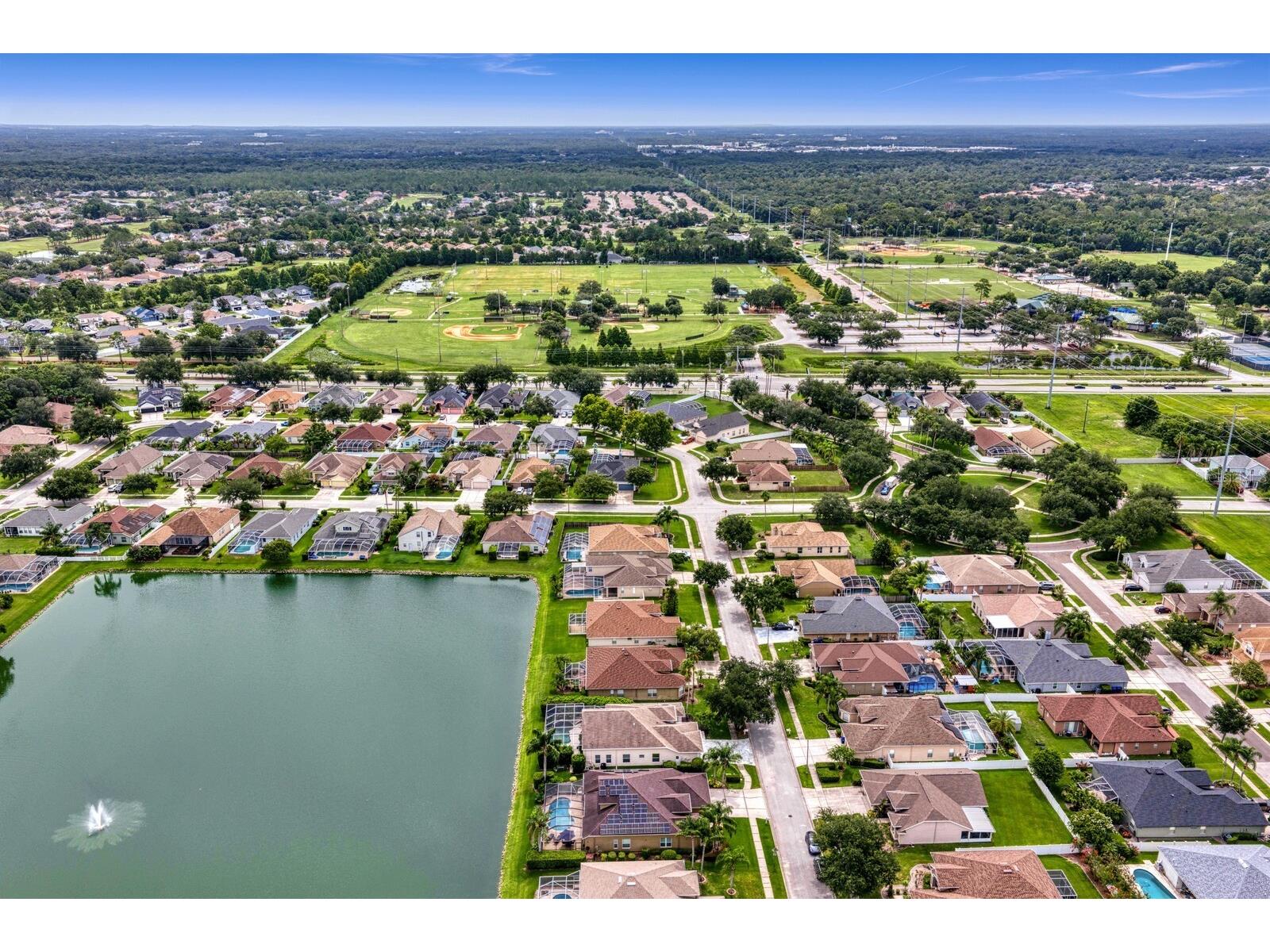 22927 Bay Cedar Drive Land O Lakes FL 34639 TB8529439 image75