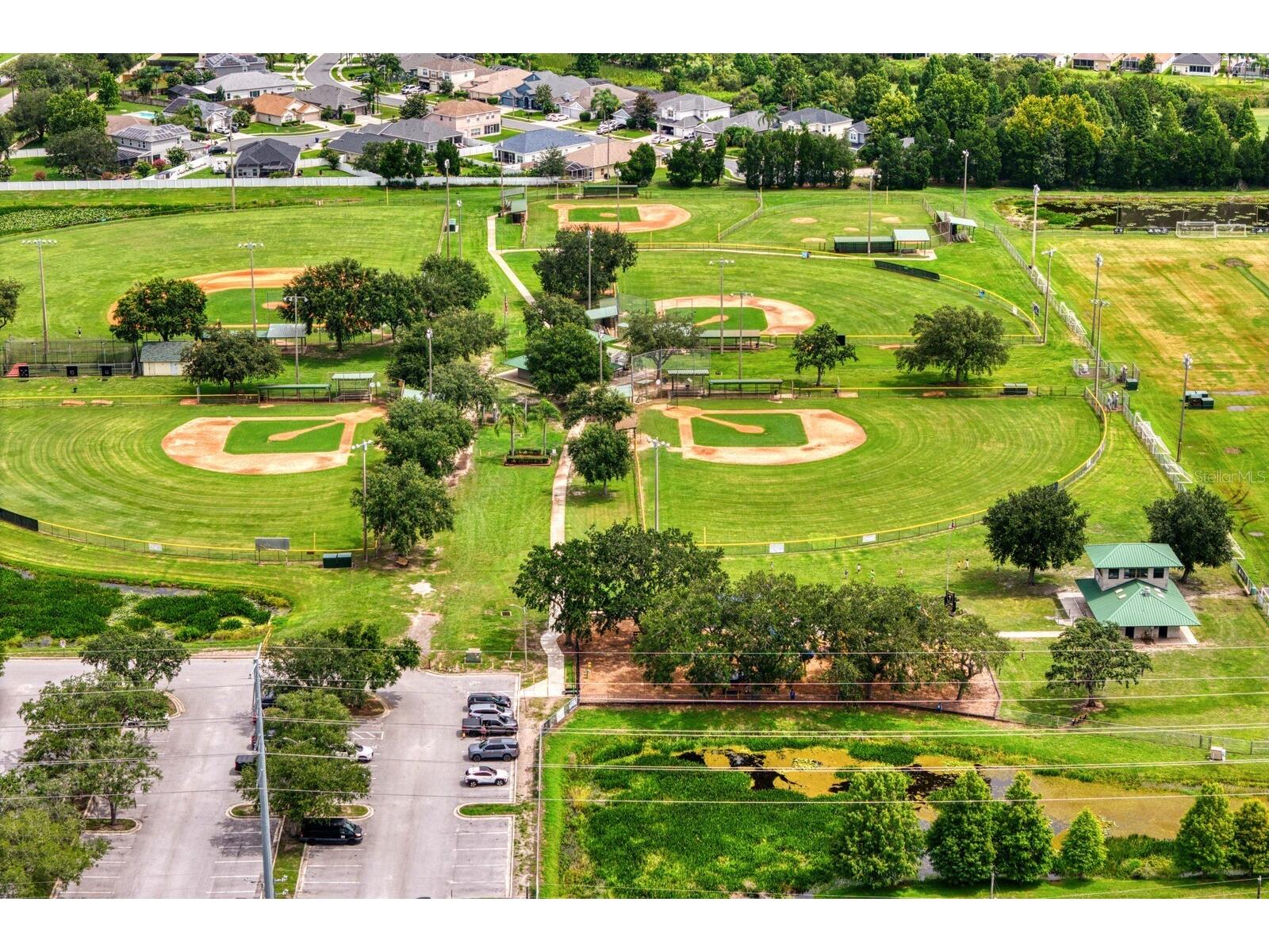 22927 Bay Cedar Drive Land O Lakes FL 34639 TB8529439 image77