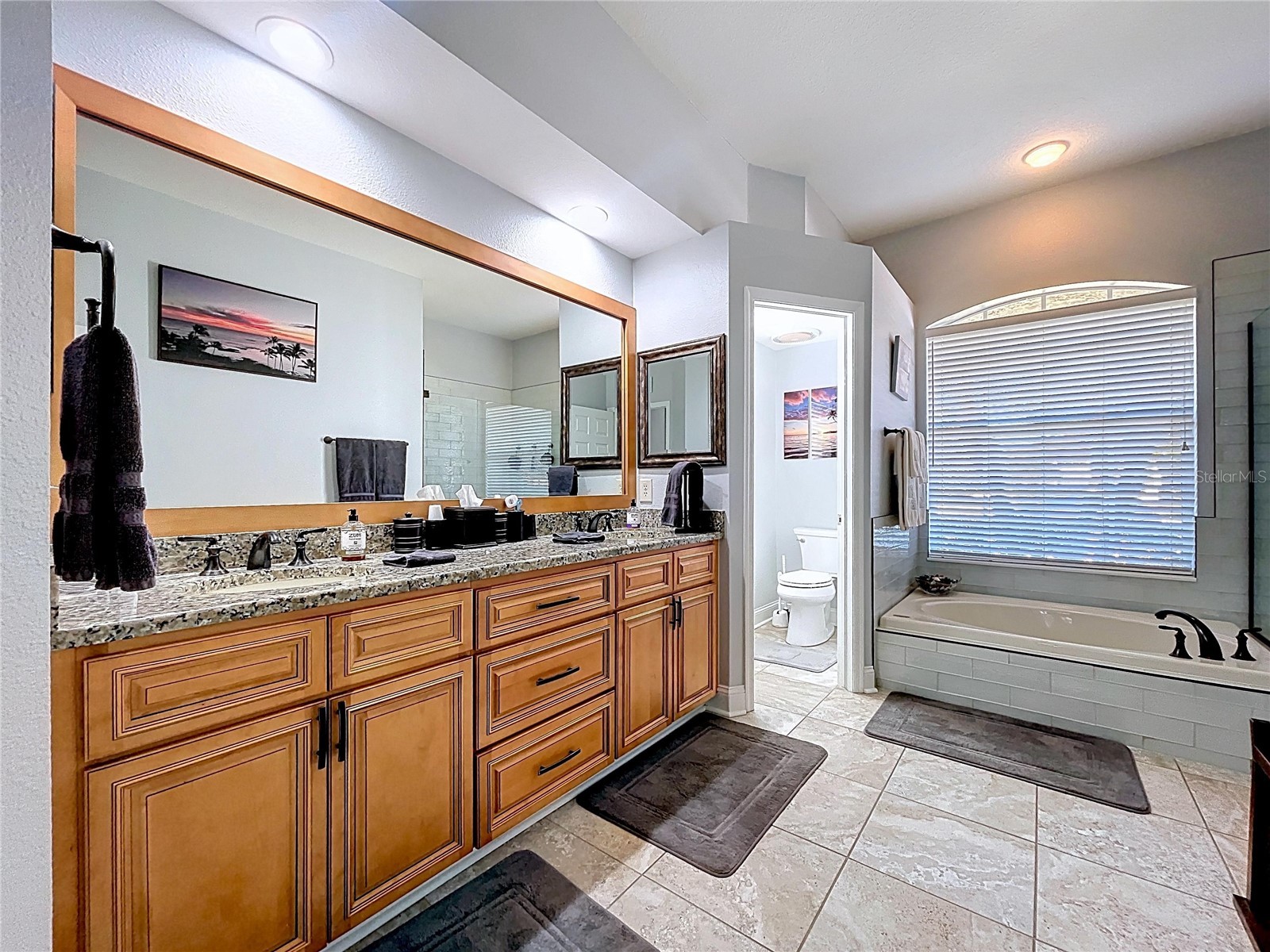 22928 Killington Boulevard Land O Lakes FL 34639 TB8529208 image23