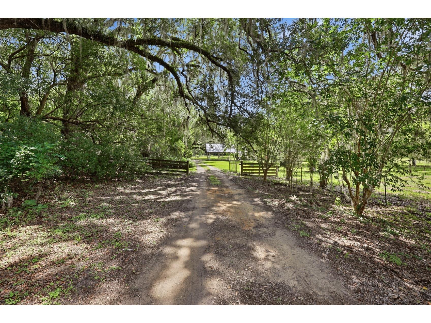 22929 E County Road 1474 Hawthorne FL 32640 GC541651 image9