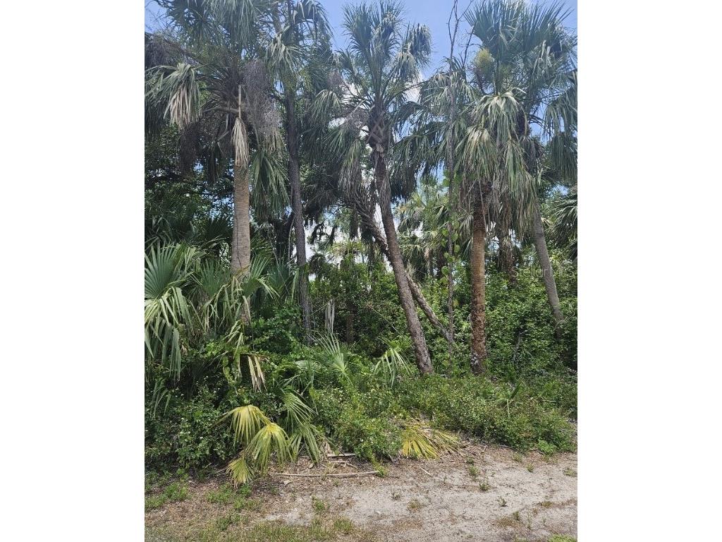 2293 Granadeer Street Port Charlotte FL 33948 C7476942 image1