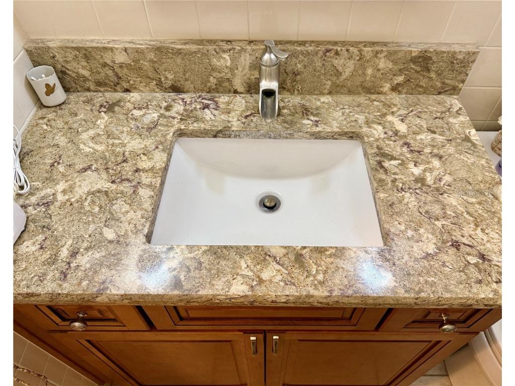 2293 Swedish Drive #21 Clearwater FL 33763 TB8397318 image11