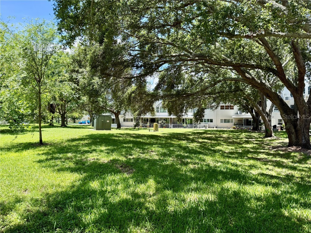 2293 Swedish Drive #21 Clearwater FL 33763 TB8397318 image33