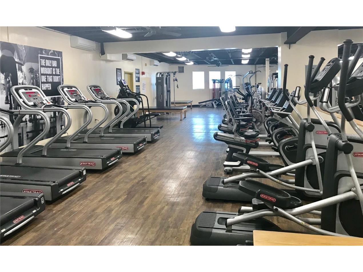 2293 Swedish Drive #21 Clearwater FL 33763 TB8397318 image46