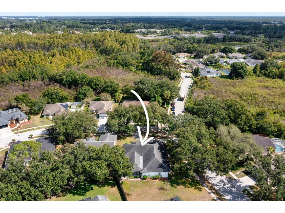 22938 Sterling Manor Loop Lutz FL 33549 TB8441032 image50