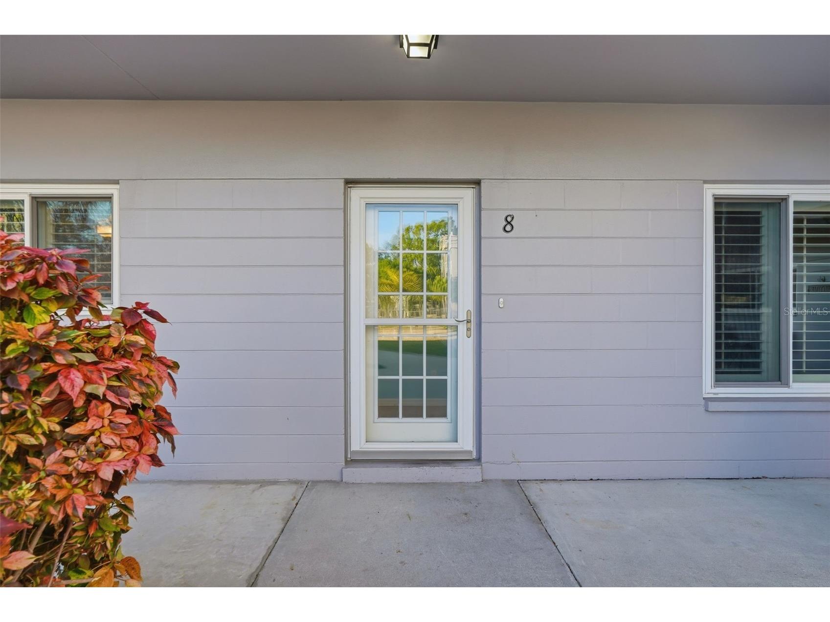 2294 Swedish Drive #8 Clearwater FL 33763 TB8477646 image11