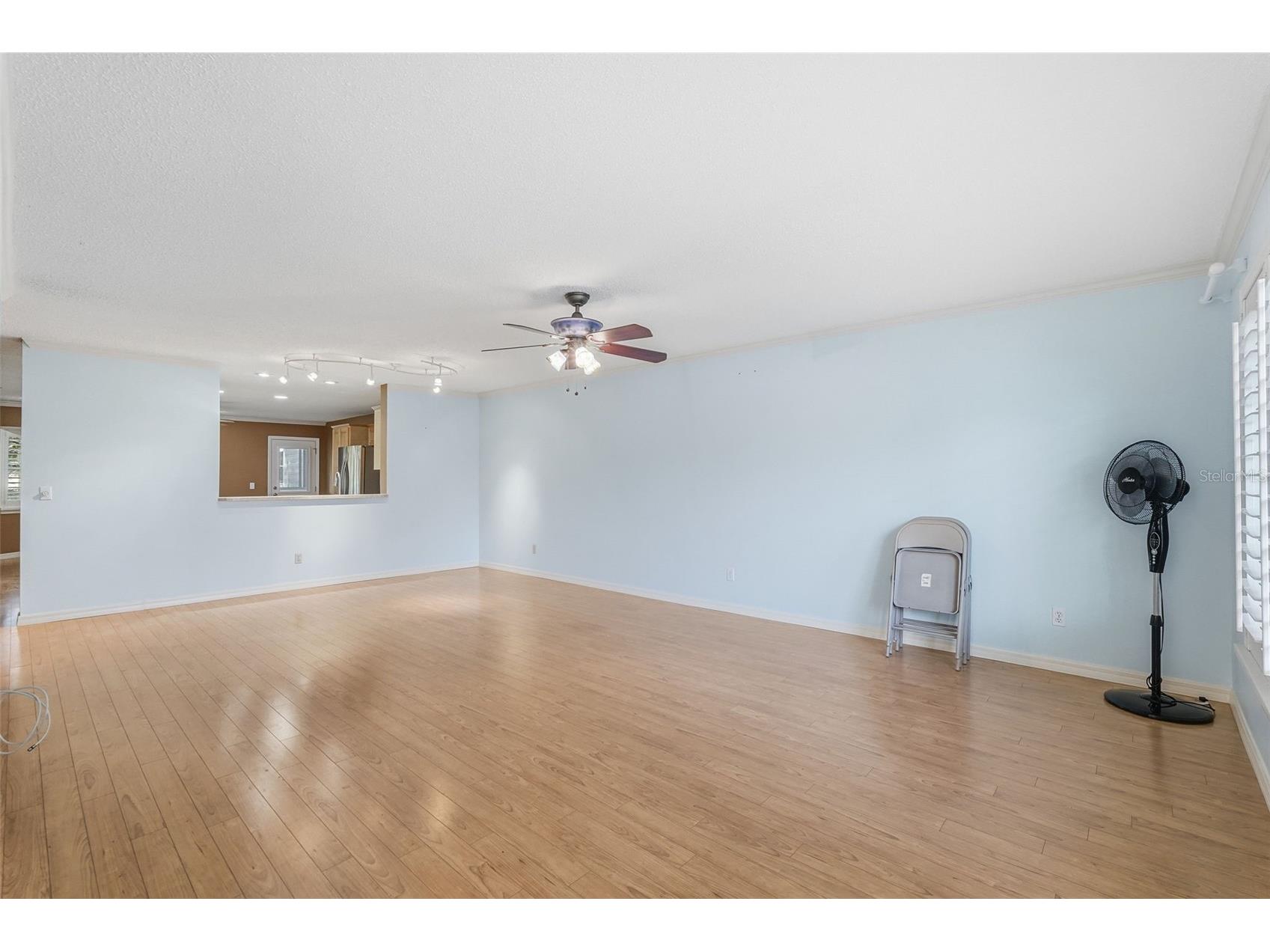 2294 Swedish Drive #8 Clearwater FL 33763 TB8477646 image14