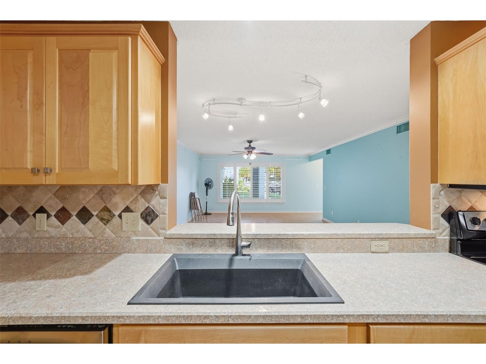 2294 Swedish Drive #8 Clearwater FL 33763 TB8477646 image27