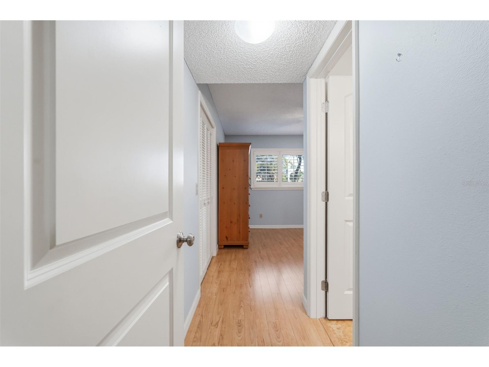 2294 Swedish Drive #8 Clearwater FL 33763 TB8477646 image33