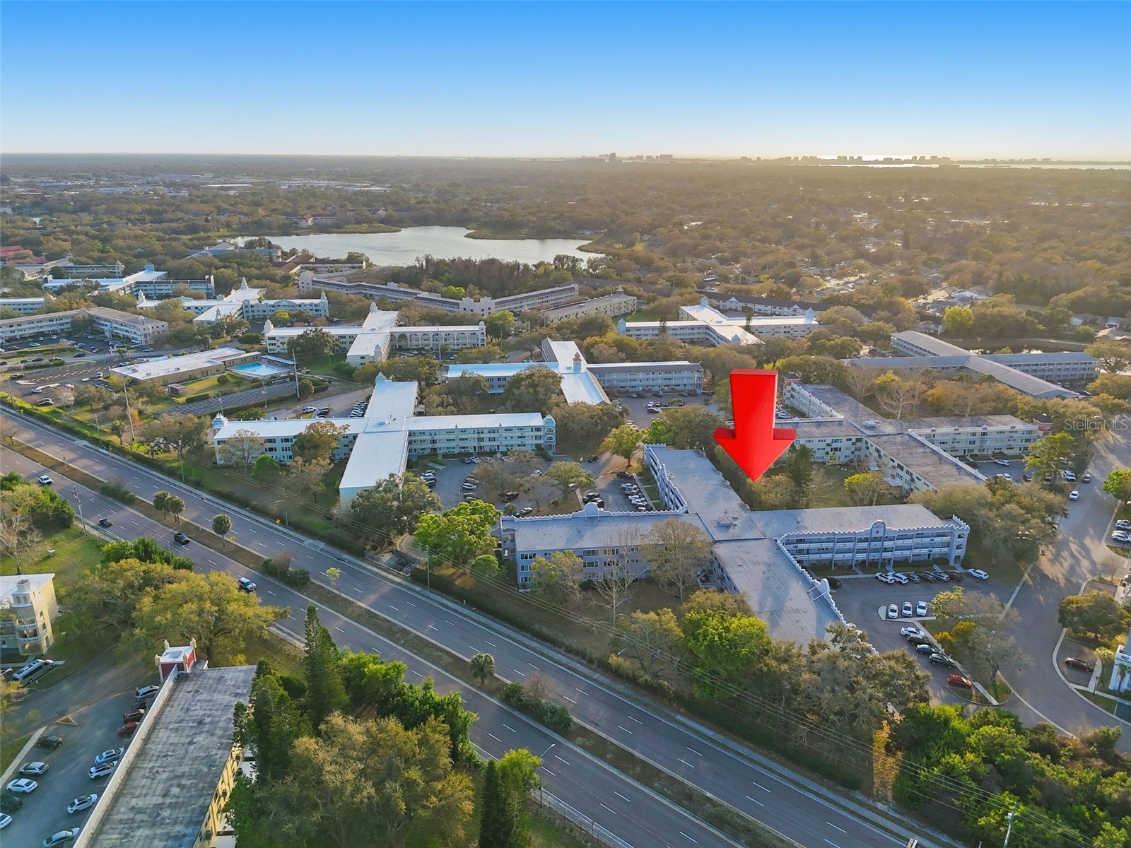 2294 Swedish Drive #8 Clearwater FL 33763 TB8477646 image4