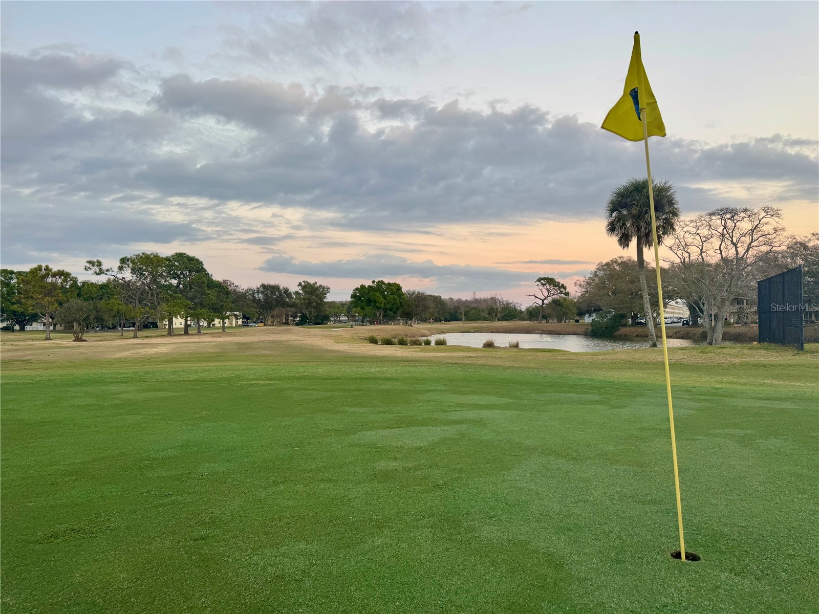 2294 Swedish Drive #8 Clearwater FL 33763 TB8477646 image59