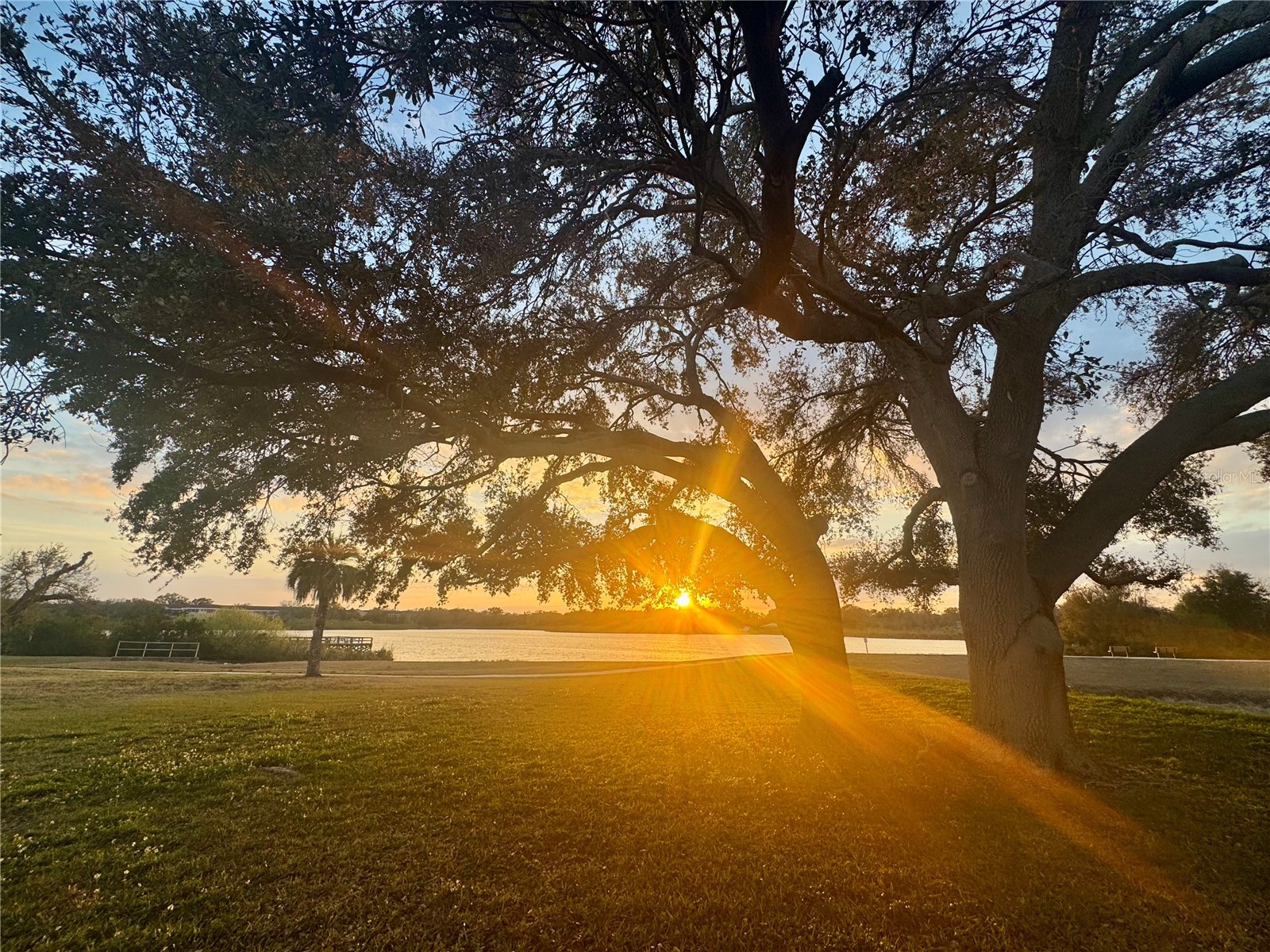 2294 Swedish Drive #8 Clearwater FL 33763 TB8477646 image62