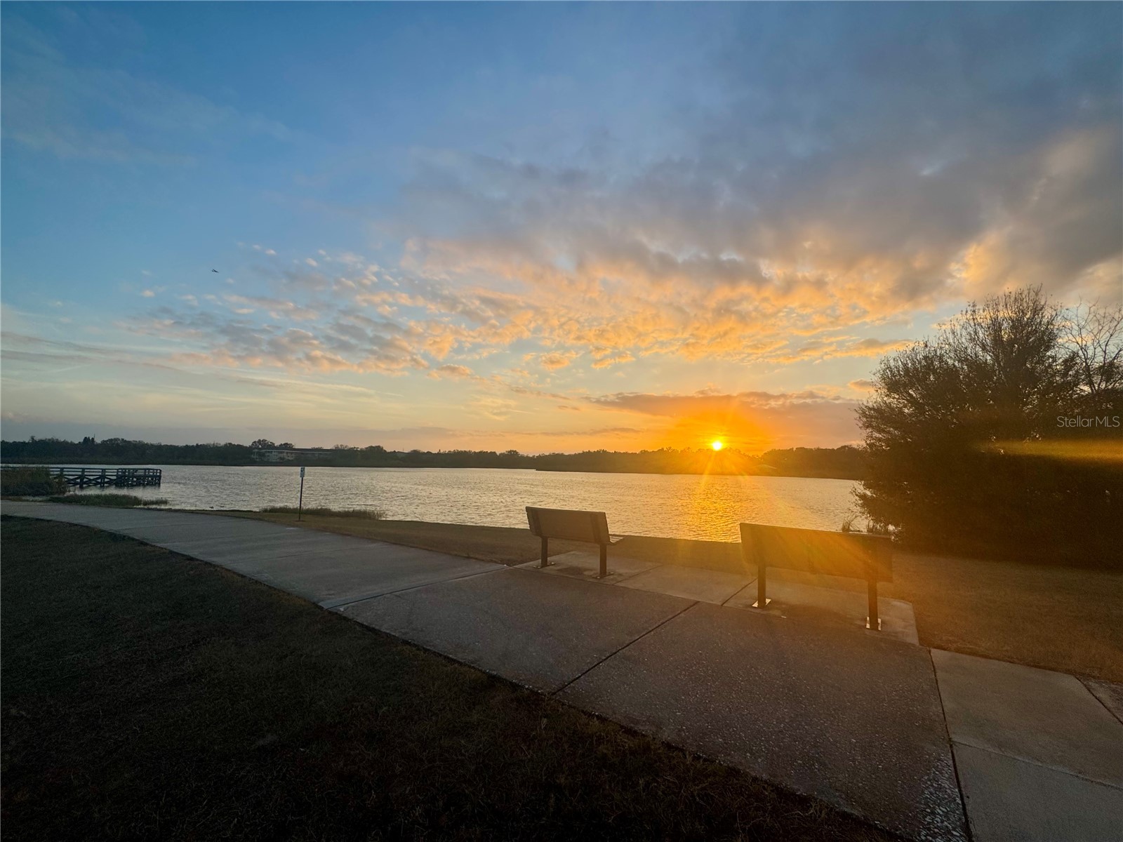 2294 Swedish Drive #8 Clearwater FL 33763 TB8477646 image63