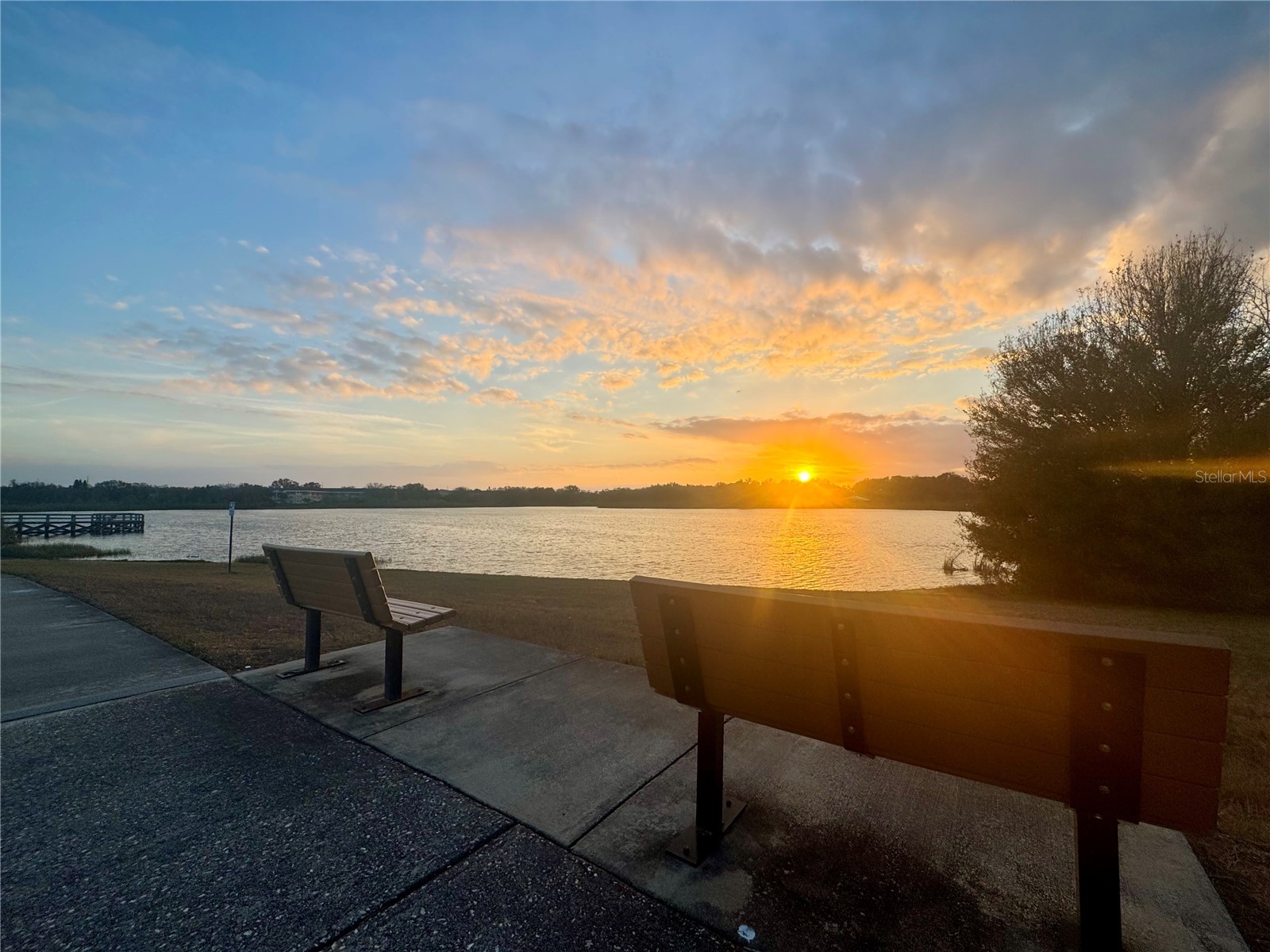 2294 Swedish Drive #8 Clearwater FL 33763 TB8477646 image64