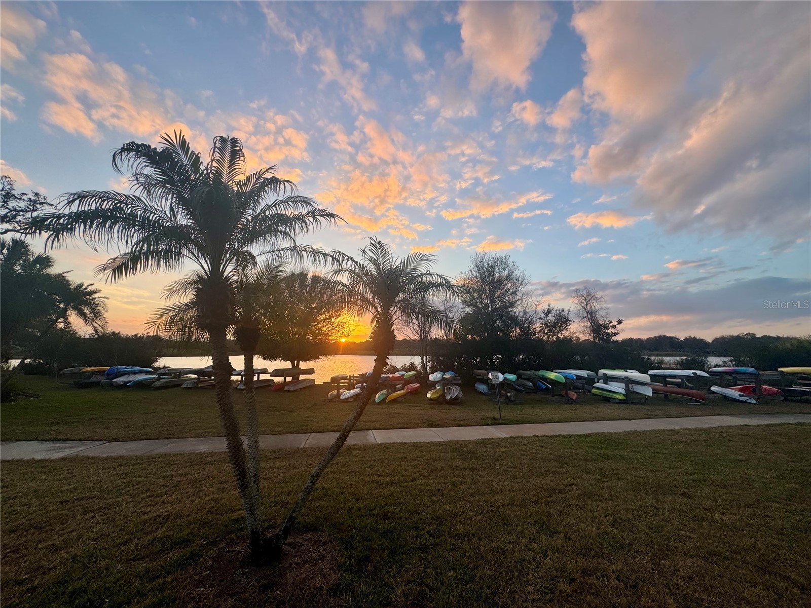 2294 Swedish Drive #8 Clearwater FL 33763 TB8477646 image65