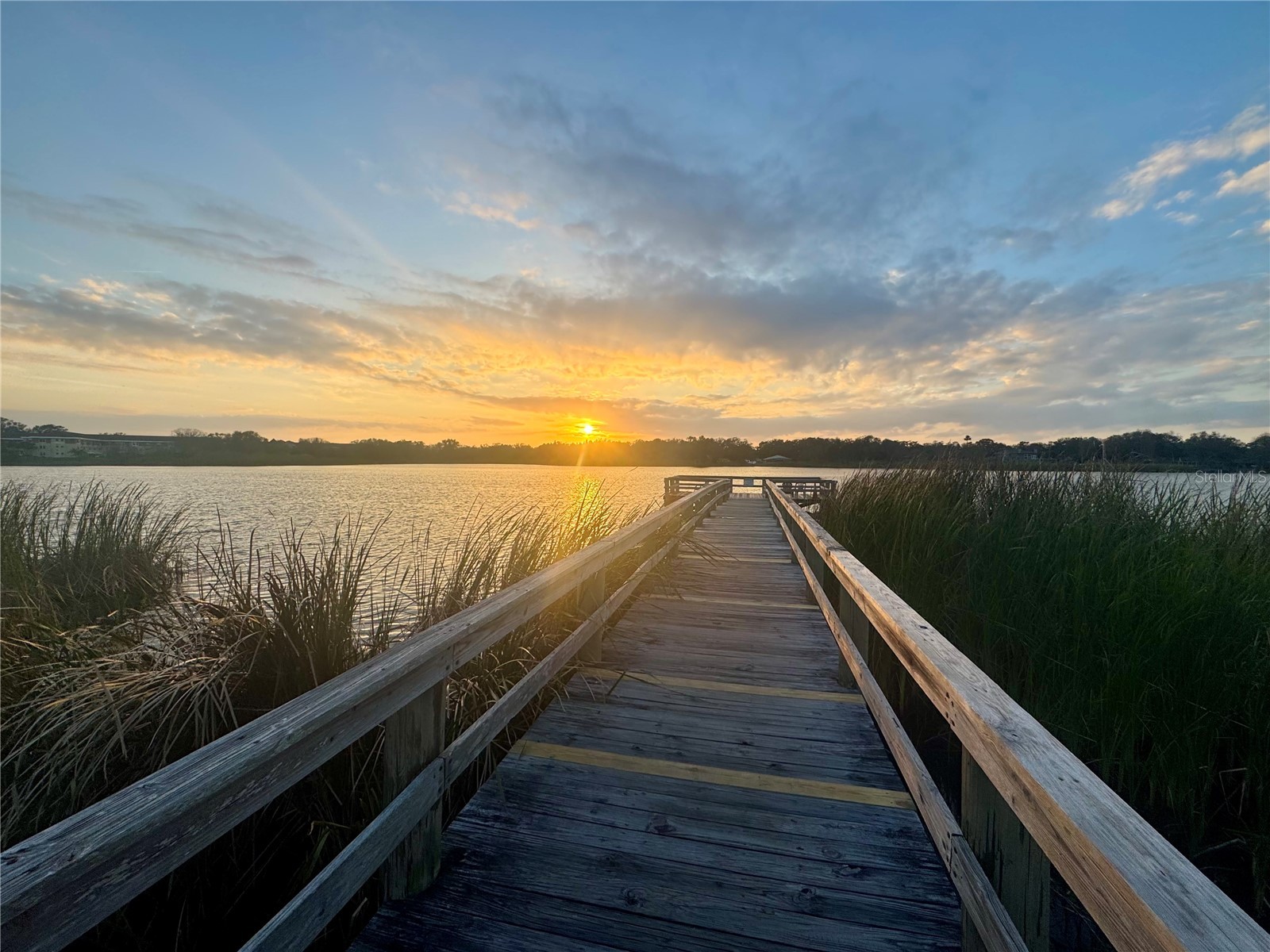 2294 Swedish Drive #8 Clearwater FL 33763 TB8477646 image67