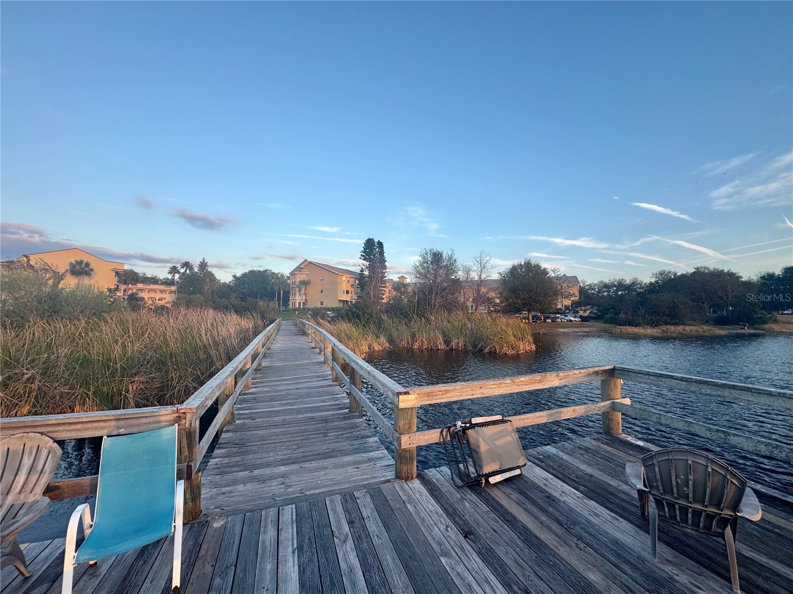 2294 Swedish Drive #8 Clearwater FL 33763 TB8477646 image68