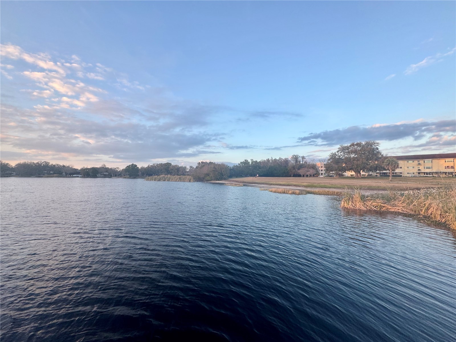 2294 Swedish Drive #8 Clearwater FL 33763 TB8477646 image69