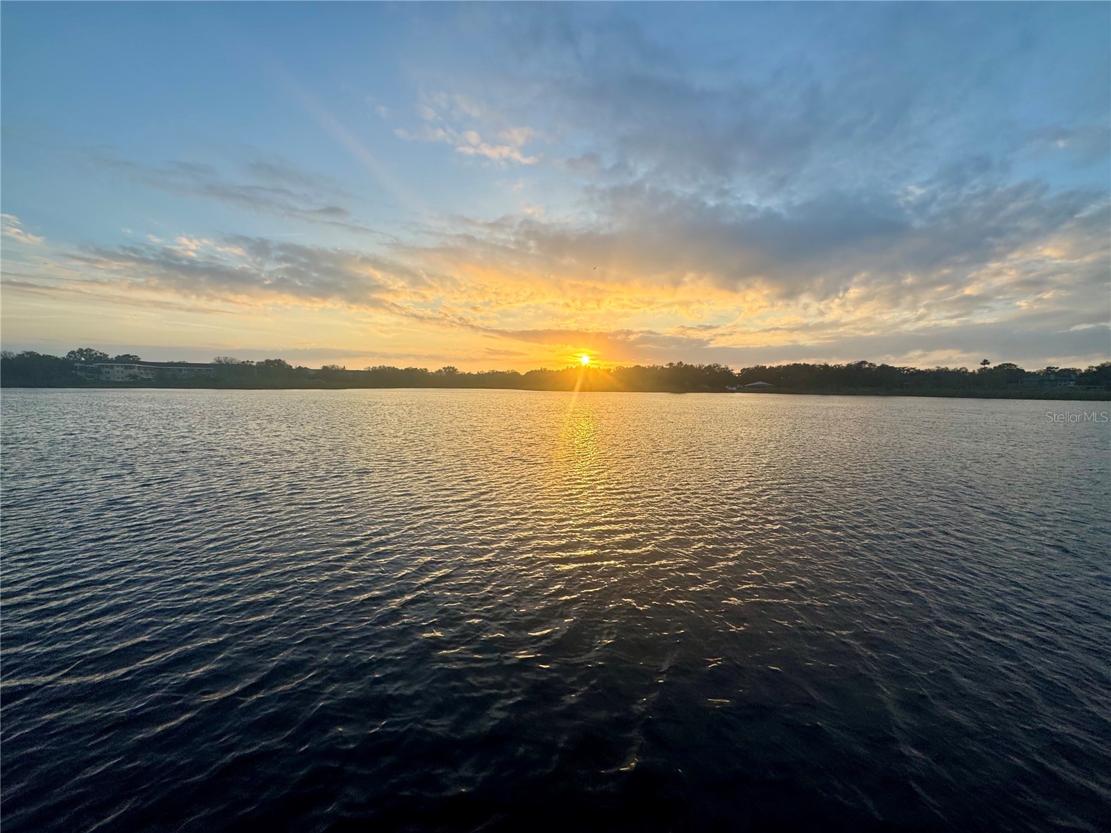 2294 Swedish Drive #8 Clearwater FL 33763 TB8477646 image70