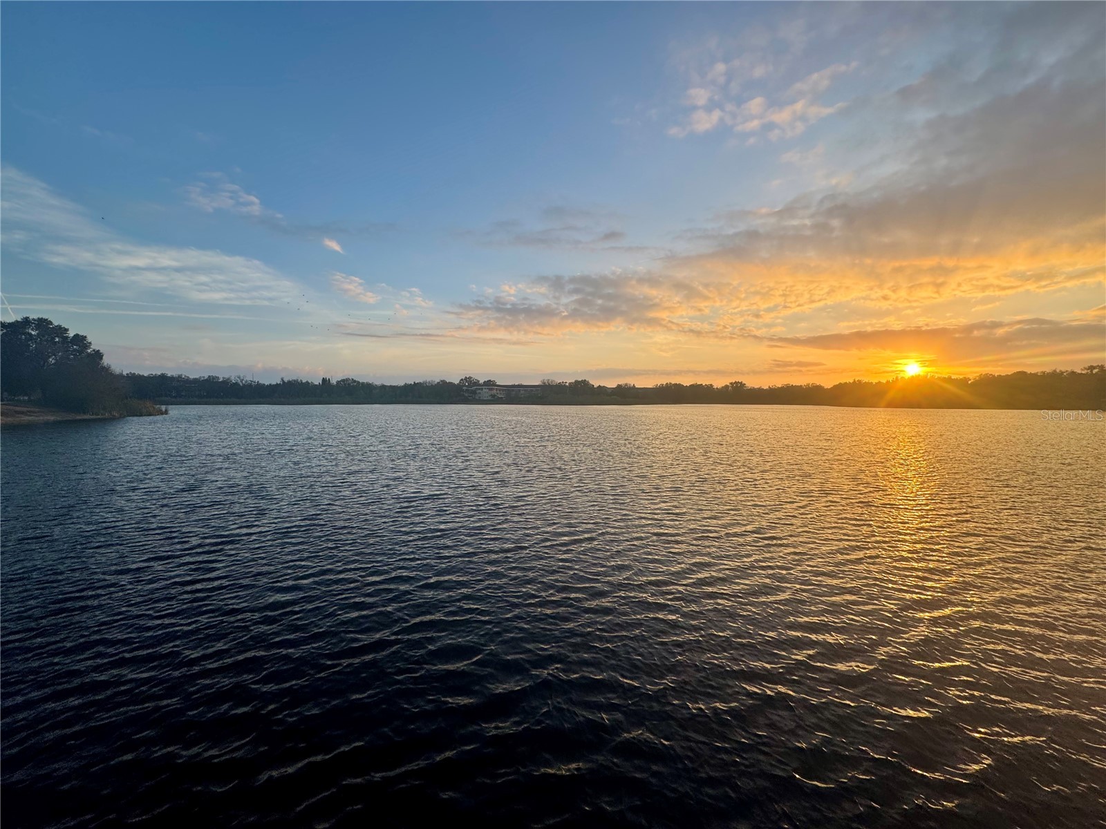 2294 Swedish Drive #8 Clearwater FL 33763 TB8477646 image71