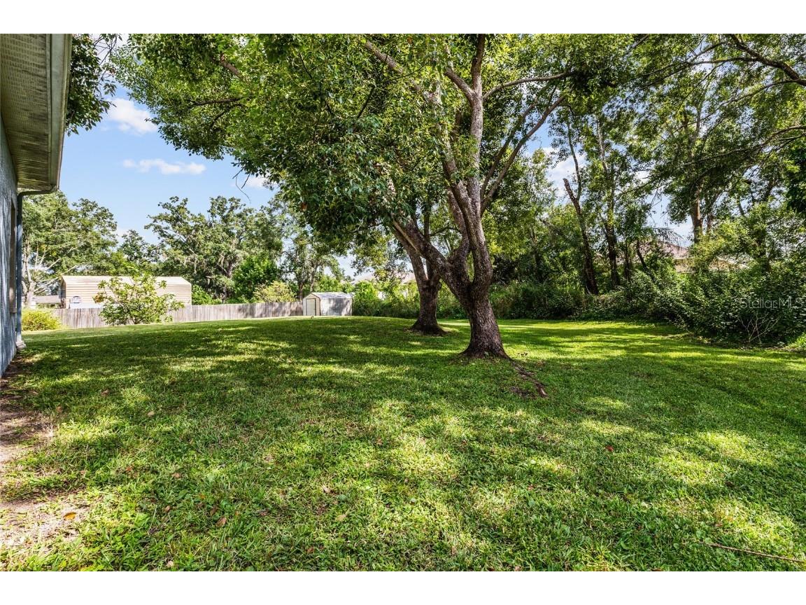 22946 Brownwood Court Land O Lakes FL 34639 TB8432367 image32