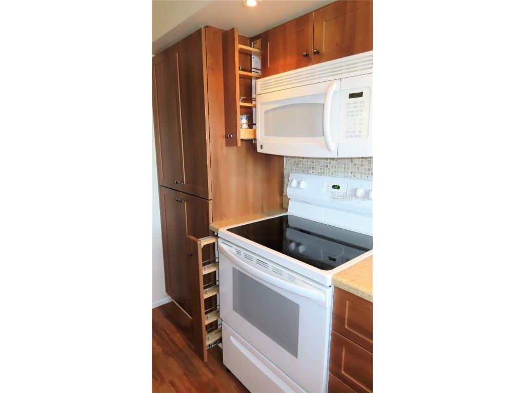 2295 Americus Boulevard E #29 Clearwater FL 33763 TB8454908 image14